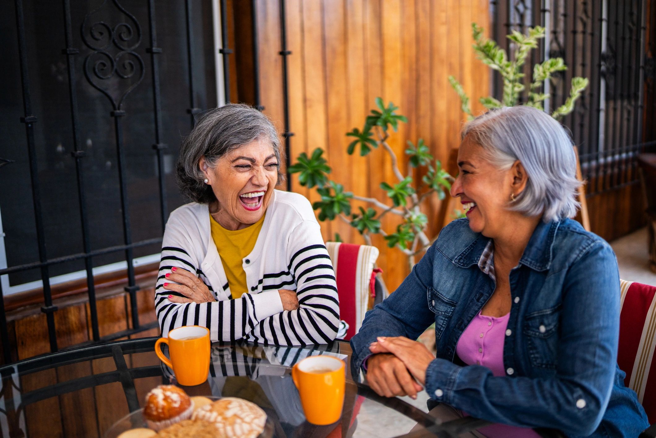 Senior women talking during afternoon tea at home